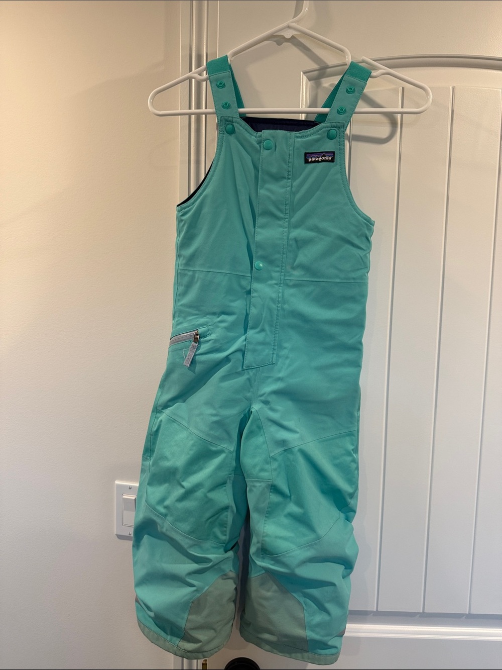 Patagonia Snow Pike Pants 4T